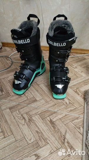 Горные лыжи