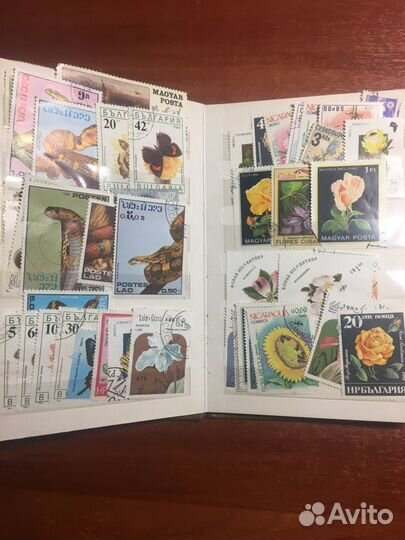 Альбом с марками