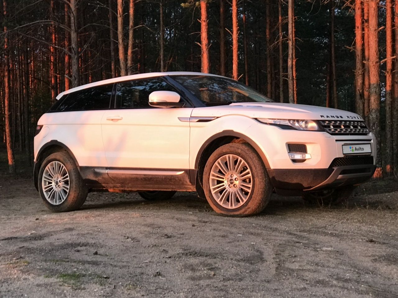 Land Rover Range Rover Evoque: фото владельца
