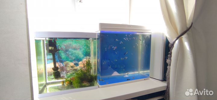 Аквариумы панорамные
