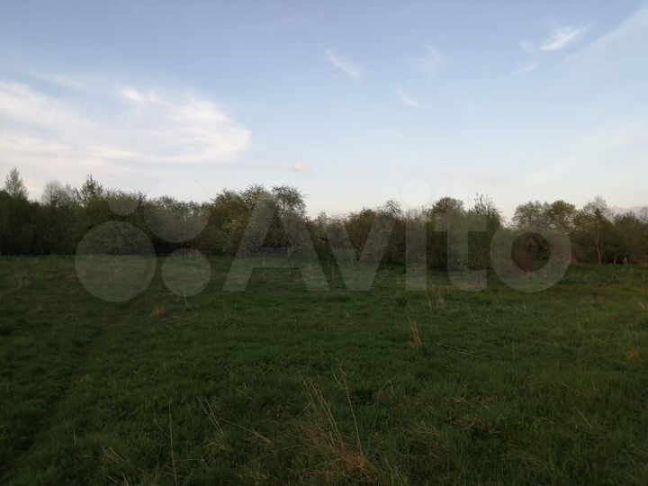 Участок 1,5 га (ИЖС)