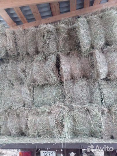 Сено в тюках