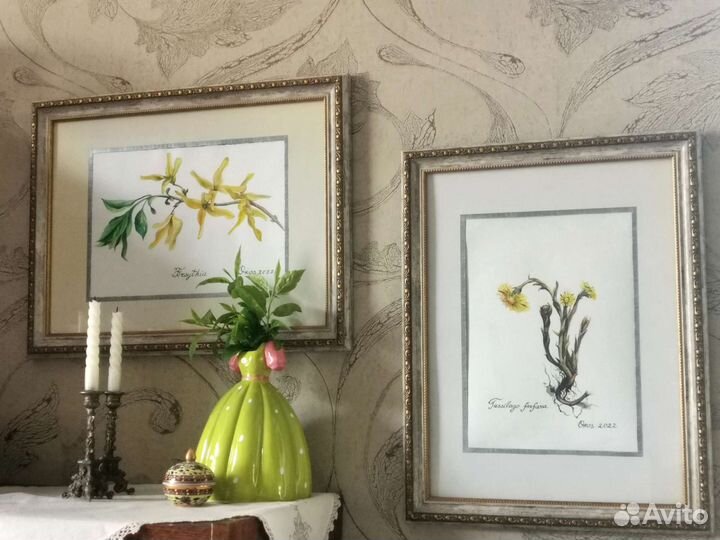 Ботаническая иллюстрация 