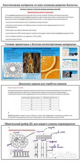 Репетитор по Биологии