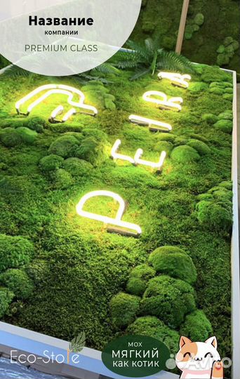 Название компании из мха с живыми растениями