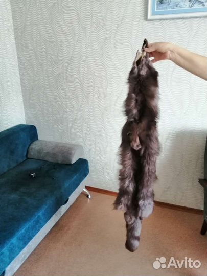 Шкурка животного