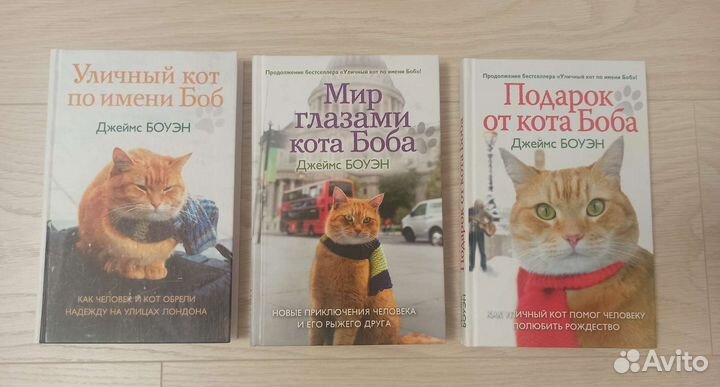 Уличный кот по имени Боб