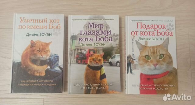 Уличный кот по имени Боб