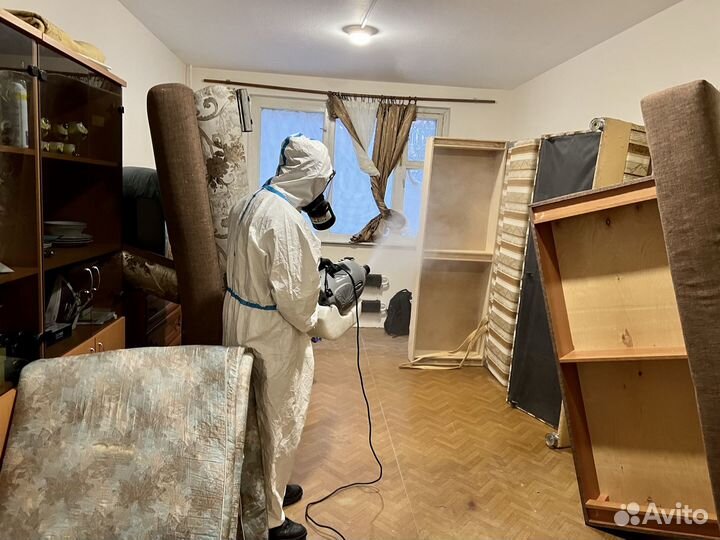 Уничтожение клопов, тараканов, крыс