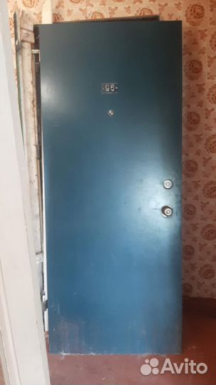 Дверь металлическая 860