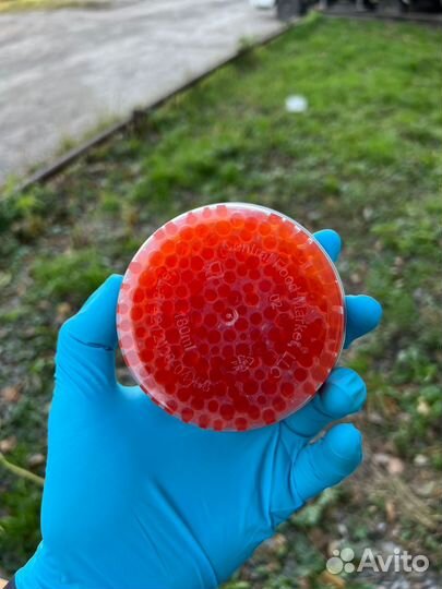 Икра красная - 2023 фасовка