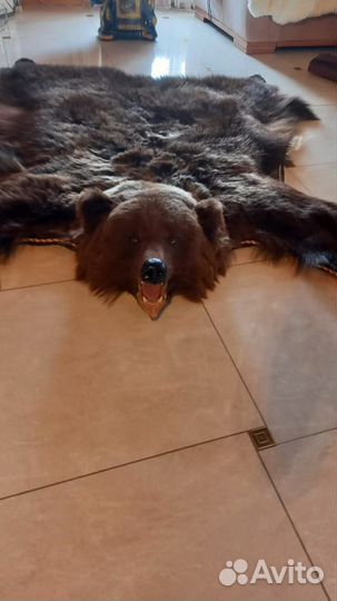 Шкура медведя имитация