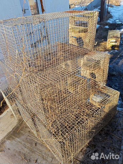Клетки для кроликов бу