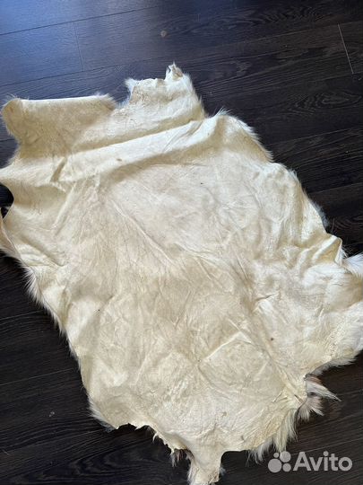 Шкура ковер натуральная