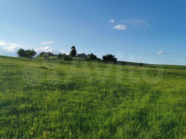 Участок 5,24 га (СНТ, ДНП)