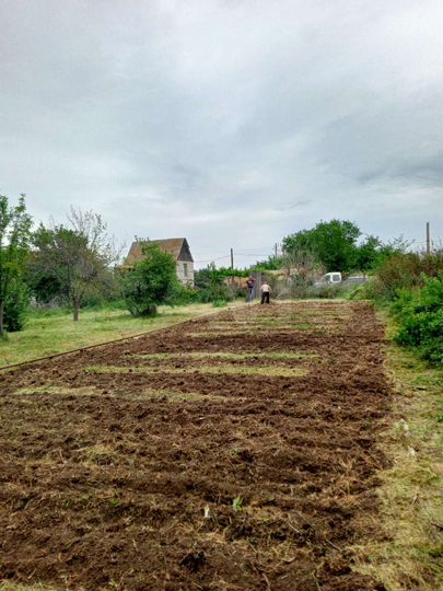 Дача 20 м² на участке 8 сот.