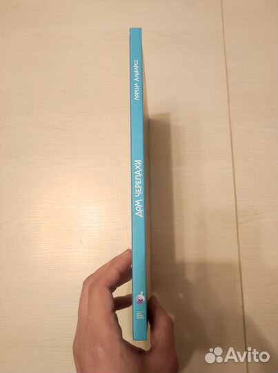 Дом черепахи Комикс