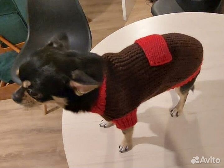 Одежда для маленьких собак