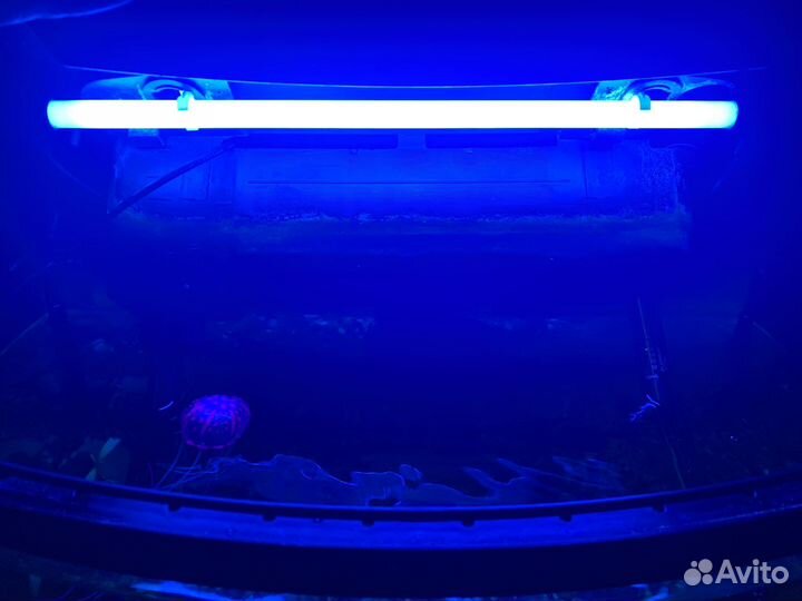 Аквариума 60 литров