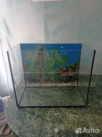 Аквариум