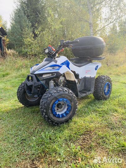 Детский квадроцикл ATV 110 yacota raposa