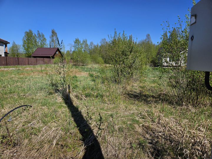 Участок 16,9 сот. (СНТ, ДНП)