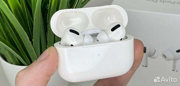 AirPods 2 / 3 / Pro