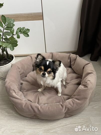 Лежанка для собак и кошек