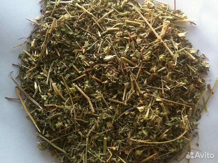 Трибулус -Якорцы стелющиеся