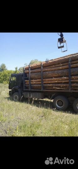 Лес кругляк сосна пиловочник