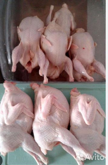 Мясо перепелов