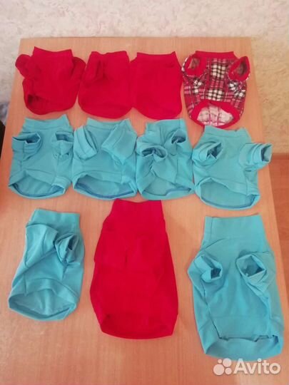 Одежда для собак