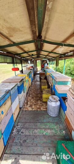 Мед разнотравье