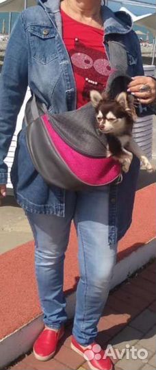Сумка-слинг для животных