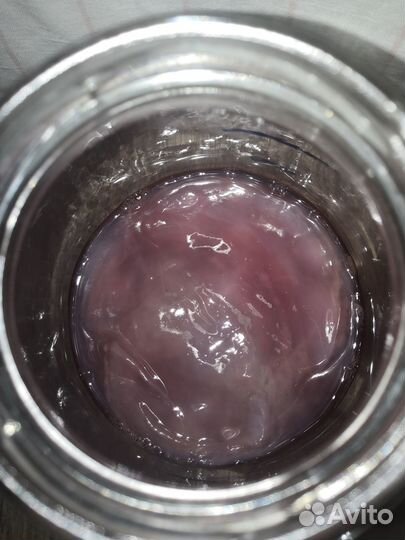 Чайный Гриб комбуча в банках