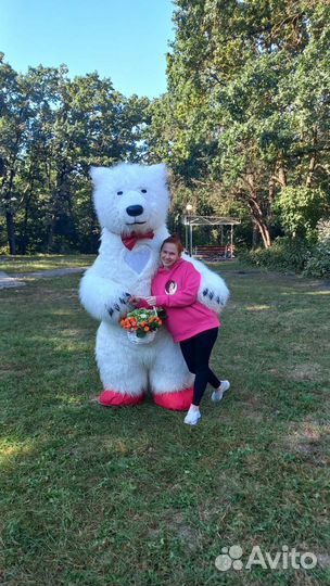 Мишка поздравление. Аниматор. Ростовые куклы