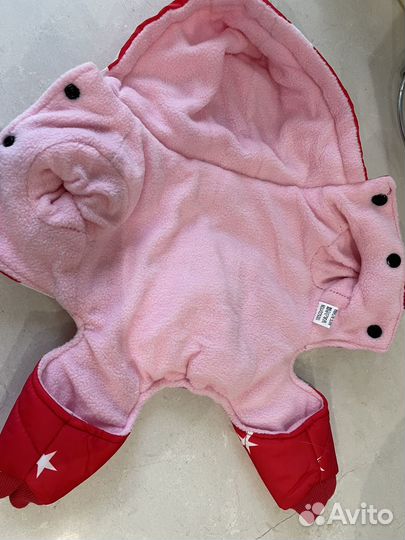 Одежда для собак