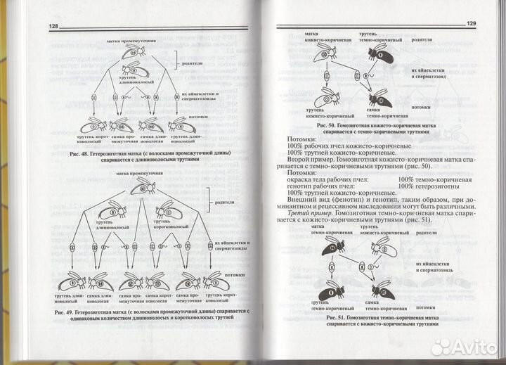 Риб Разведение содержание пчел улей медосбор воск