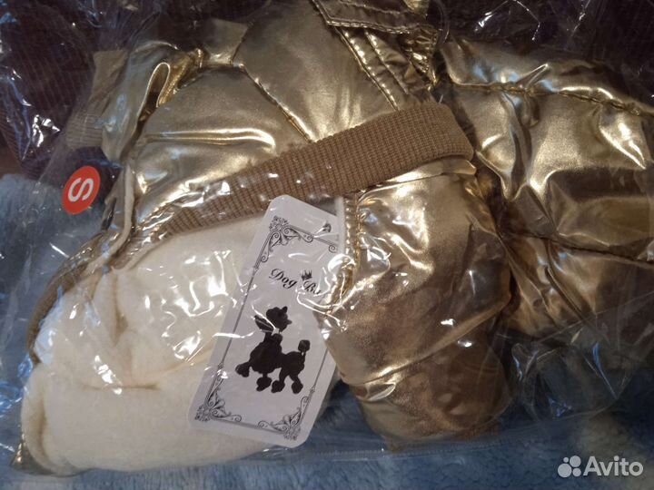 Костюм для собаки