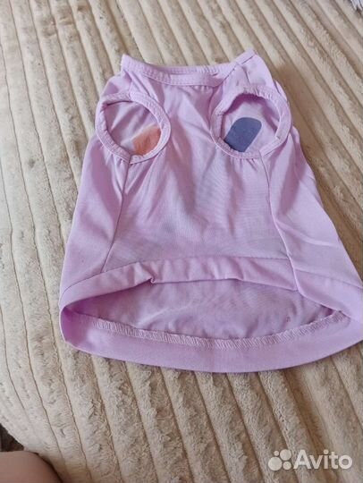 Майки для собак