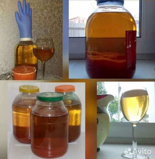 Винный гриб