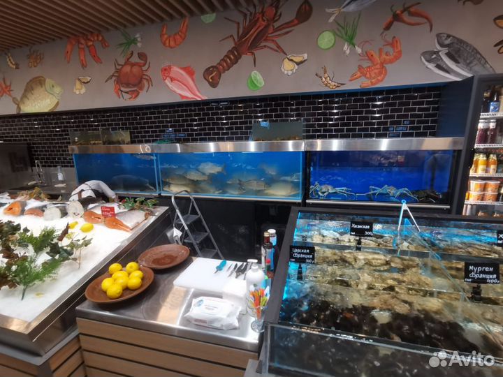 Аквариум для продажи живой рыбы