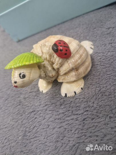 Черепашка ракушка