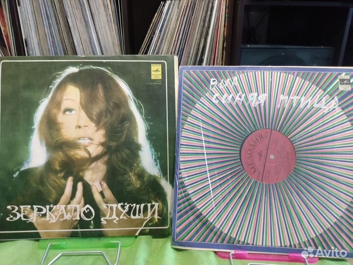 Виниловые пластинки