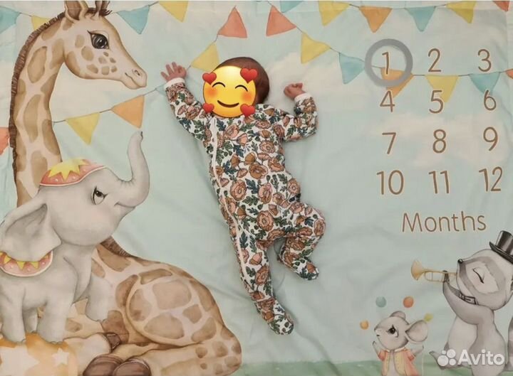 Фотоплед по месяцам