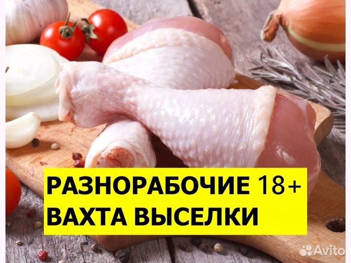 Разнорабочий в цех фасовки мяса куриц вахта Выселк