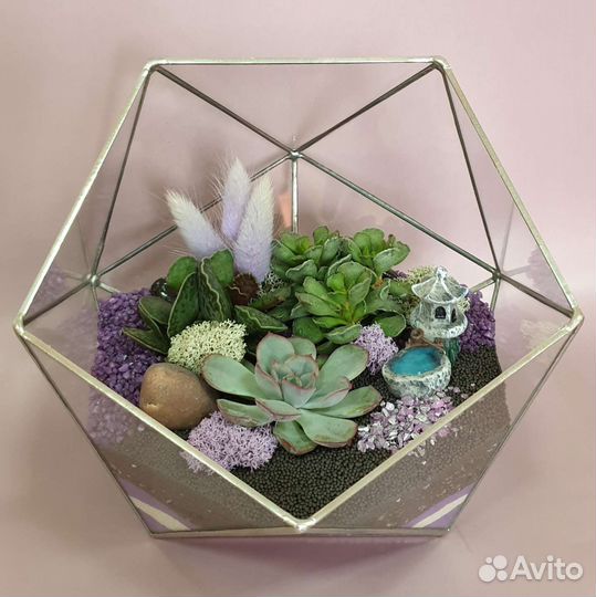 Флорариум. Подарок на день рождения, педагогу