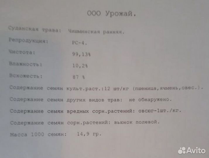 Семена суданки