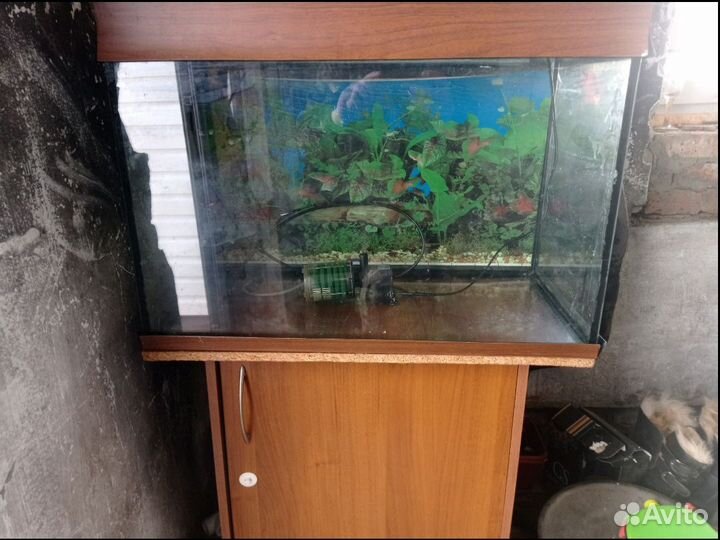 Аквариум с тумбой 100л