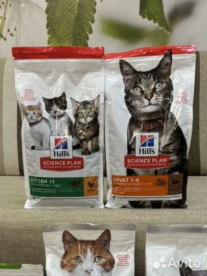 Корм для кошек hills